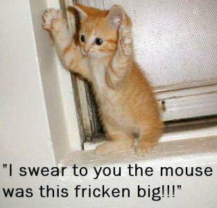 Cutie!