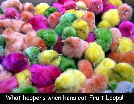 Froot Loops!!